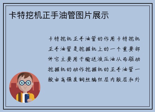 卡特挖机正手油管图片展示